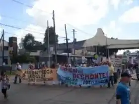 Bernal: Denuncian al Municipio y a Aysa por violar la ley de protección de bosques nativos