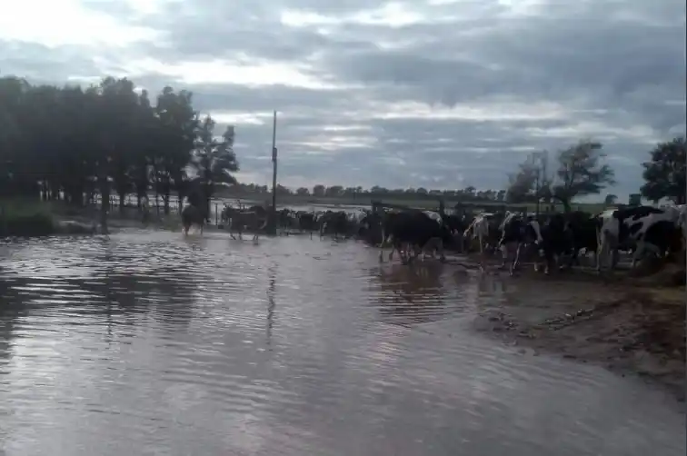 De Angeli: «La emergencia agropecuaria se declara cuando la pide la provincia»