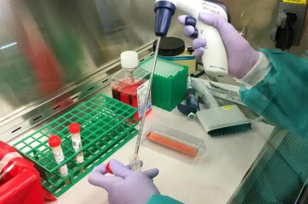 Coronavirus: aislaron en Iguazú a turista alemán con síntomas