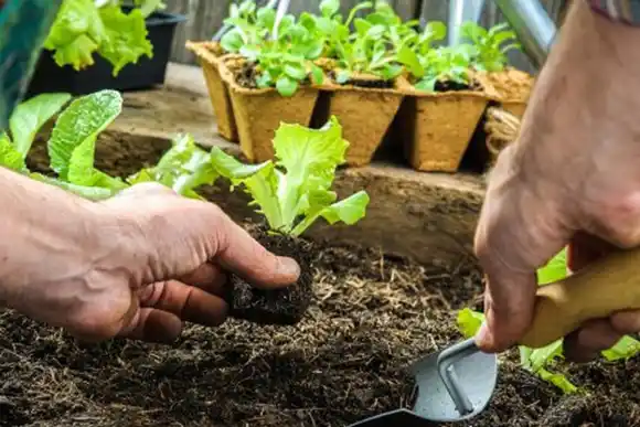 Taller de huerta en el Club Independiente