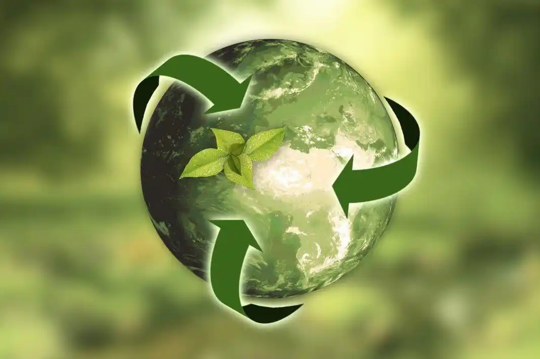 Los proyectos de Carbono ganan hectáreas