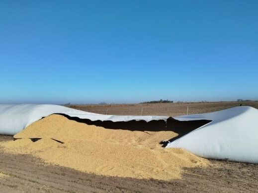 Robo multimillonario sacude campo cercano a Carlos Pellegrini