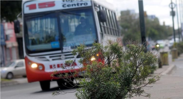 Un chofer de la Línea 15 fue asaltado