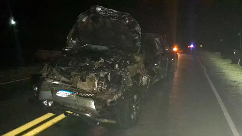 Un hombre chocó contra un caballo en la Ruta 12 y debió ser hospitalizado