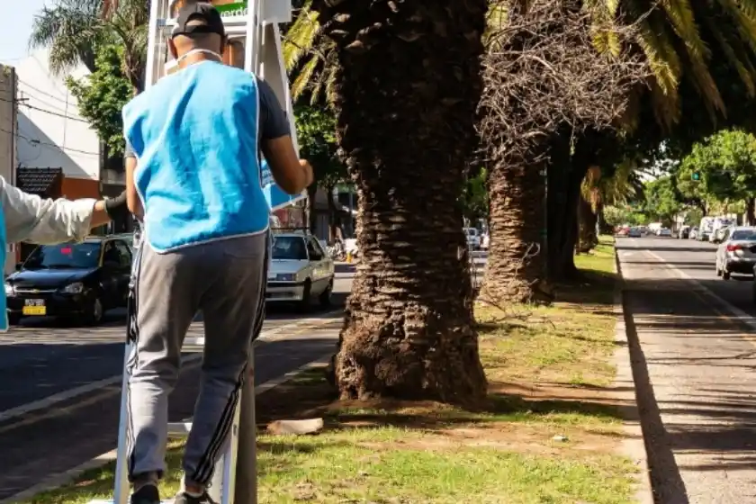 Arrancó la limpieza de propaganda política en las calles de Rosario tras las elecciones