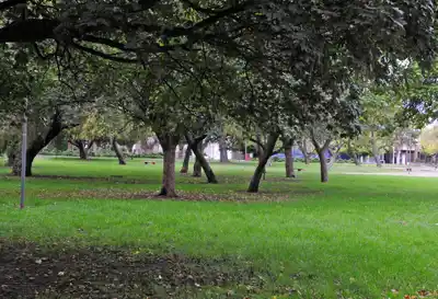 aaa