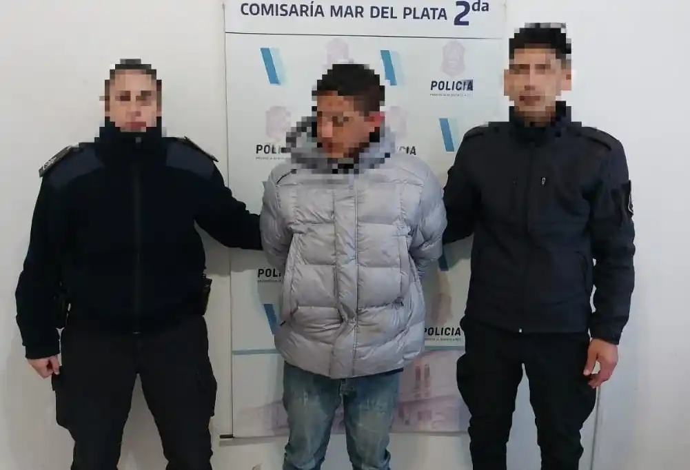 El sujeto robó varios elementos de un auto usando un inhibidor del sistema de seguridad.