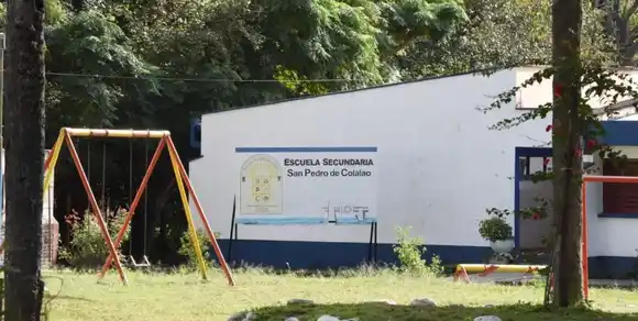 Más de 60 niños se intoxicaron en una escuela de Tucumán: los alimentos estaban contaminados por hongos