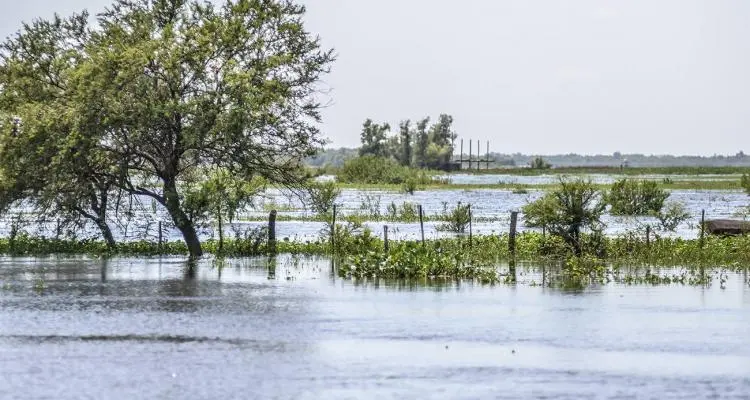 Creciente: El agua superó los 3,66 y estiman que se mantendrá durante todo febrero
