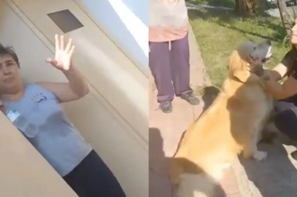 Animal rescatado por proteccionistas