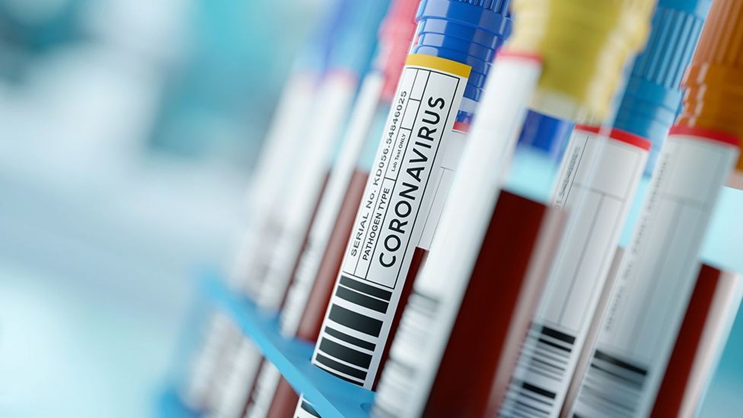 #Coronavirus 1 de diciembre: 8.037 nuevos casos y 198 muertes informadas en las últimas 24 horas