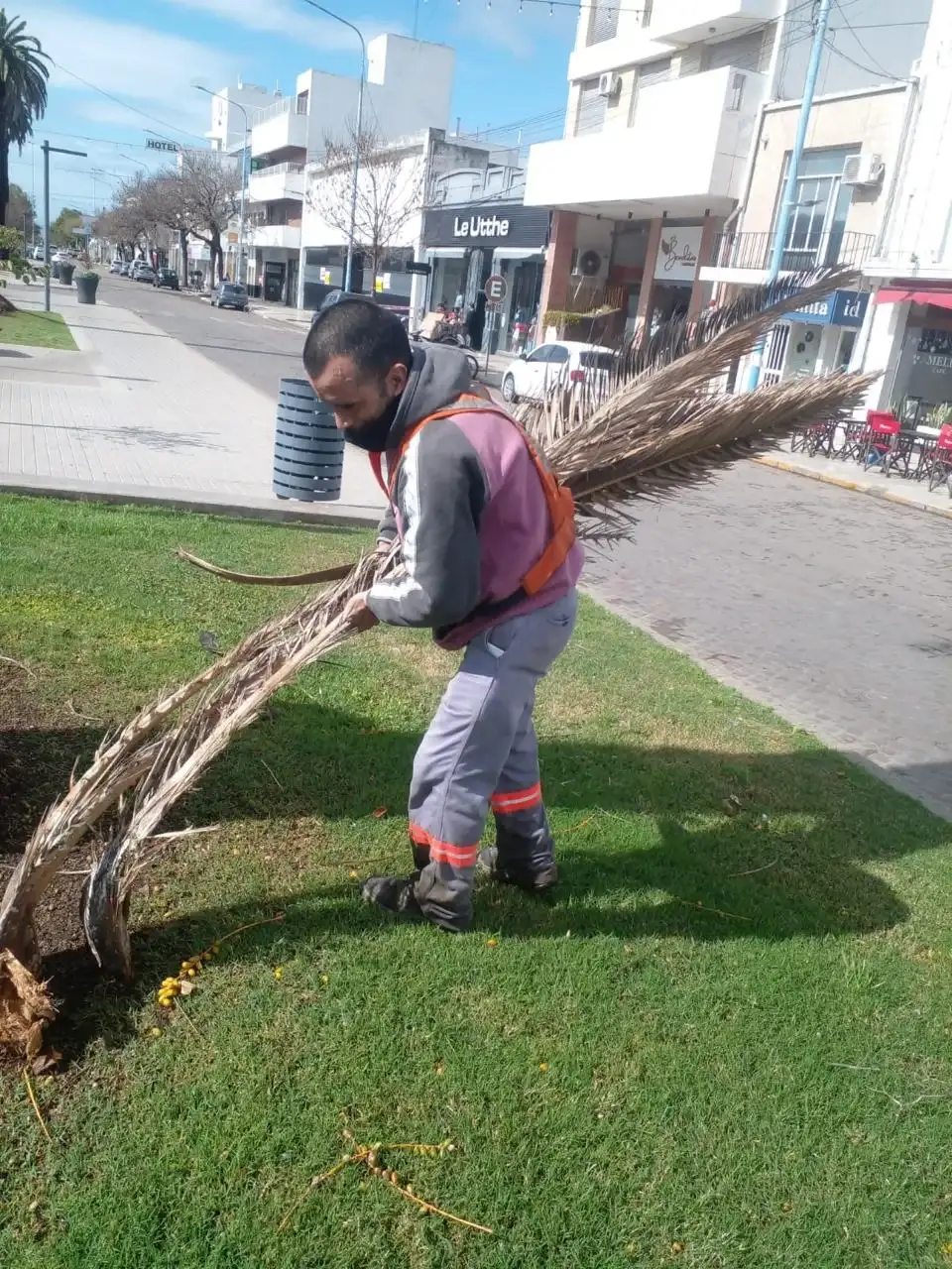 El Municipio recibió 82 reclamos tras el temporal y continúa con tareas de limpieza - 3