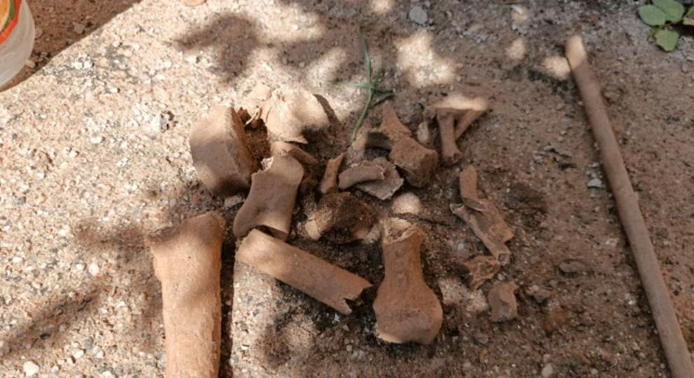 Los restos que fueron encontrados en una casa de la capital de La Rioja