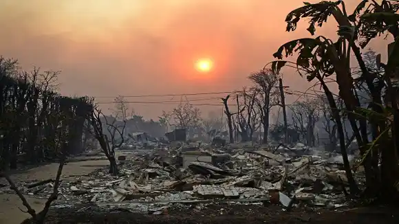 Trump CULPA al gobernador de California por DEVASTACIÓN de los INCENDIOS: hay al menos 5 muertos