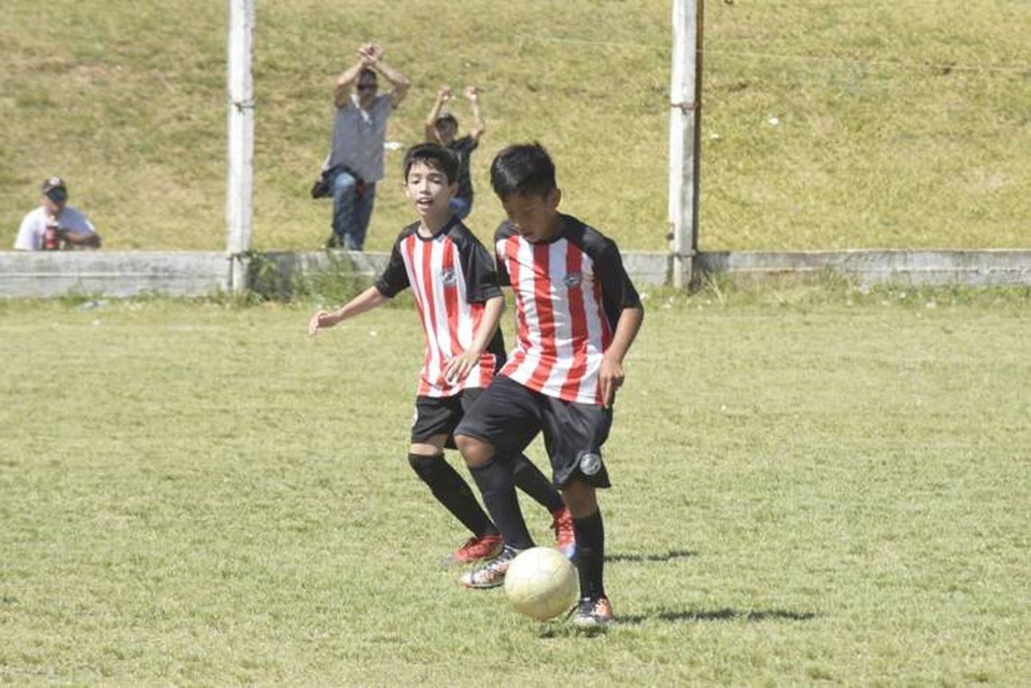 Las inferiores de la Asociación  Riverplatense vuelven a entrenar