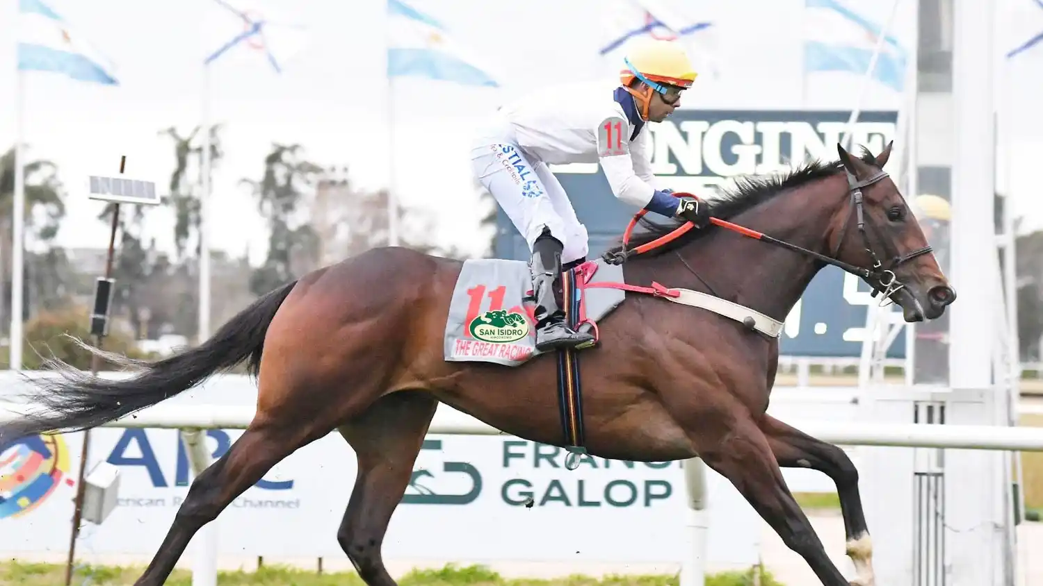 The Great Racing, destacado ganador de las 2000 Guineas (G1), es el candidato en el Gran Premio Jockey Club (G1), en San Isidro.