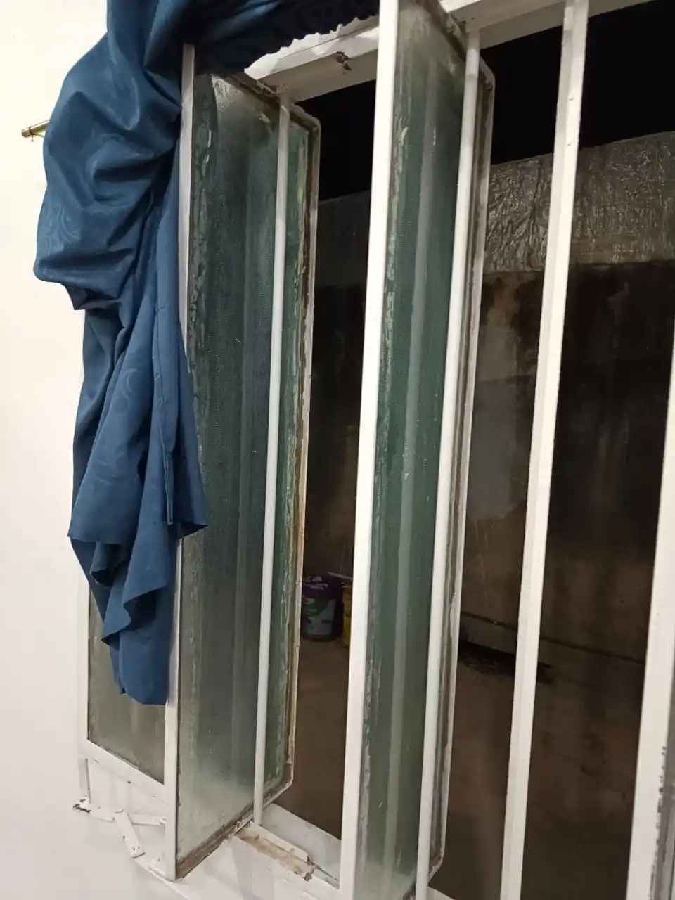 robo la polly del norte - 1