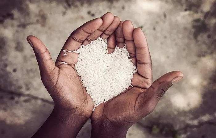 Con la comida que botan alimentarían a los pobres y sobraría
