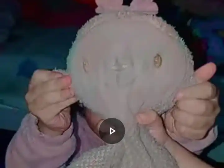 Buscan el juguete de apega de una pequeña niña