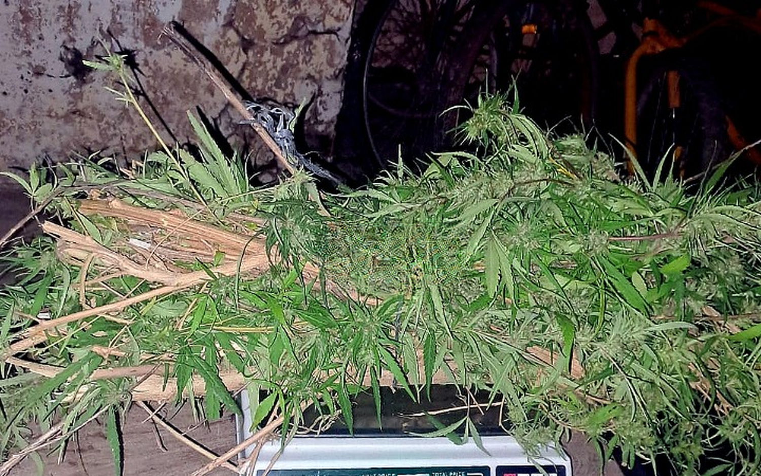 Desarticularon un nuevo centro de distribución de drogas y secuestraron marihuana
