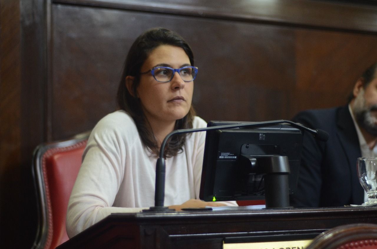 Proponen declarar de interés legislativo provincial a las jornadas de práctica de lenguaje
