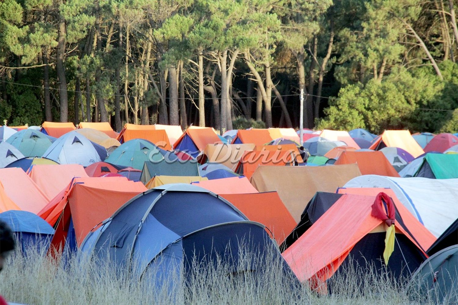 Campamento nacional Scout en Necochea