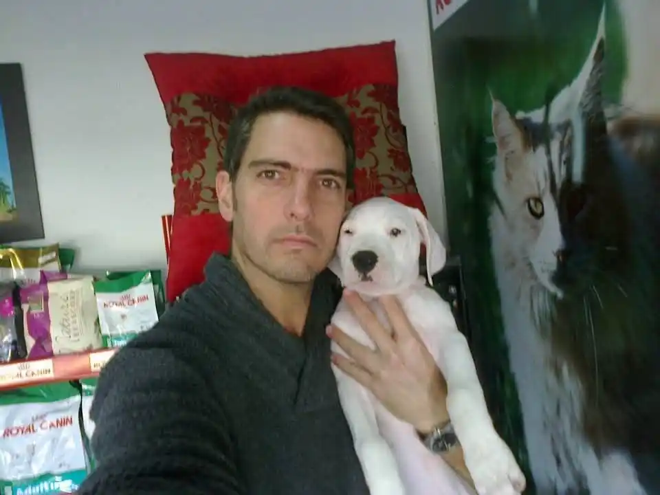 veterinario Juan Gallo