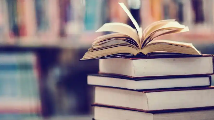 Las librerías apelan a distintas estrategias para sobrevivir. Desde promociones y descuentos hasta la diversificación de productos o la organización de actividades culturales.