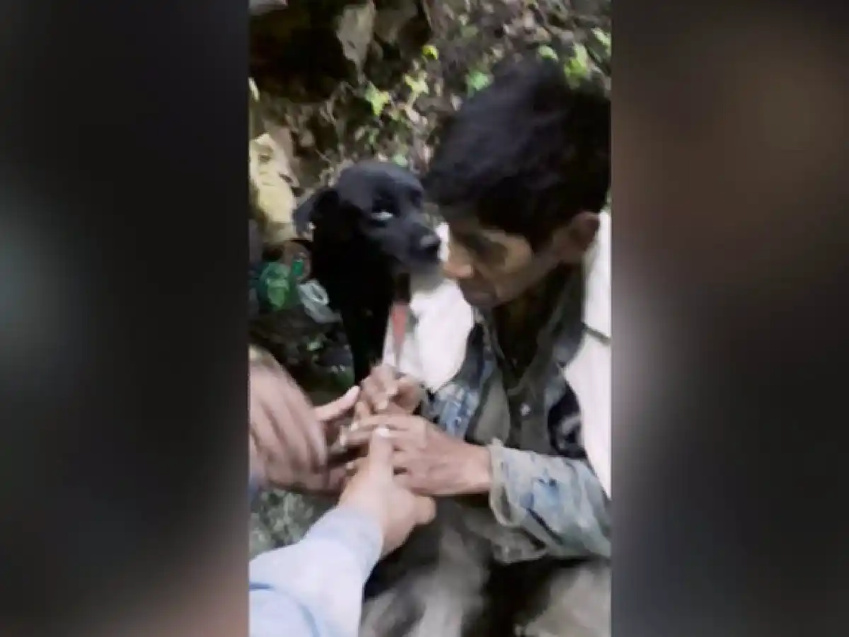 Un gaucho cayó a un barranco y su perro lo salvó de un puma