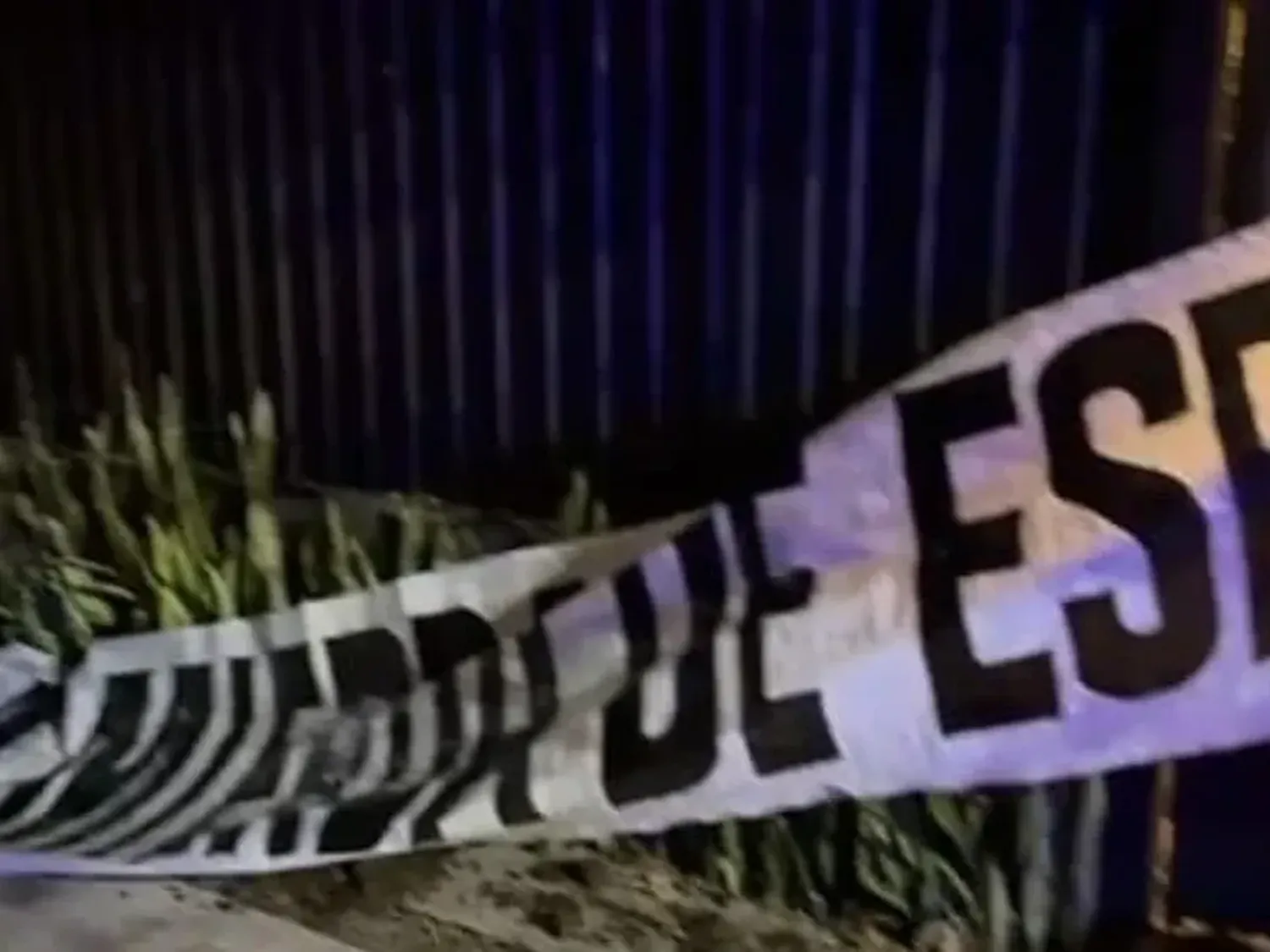 Espert acusó al Kirchnerismo de vandalizar su casa en San Isidro