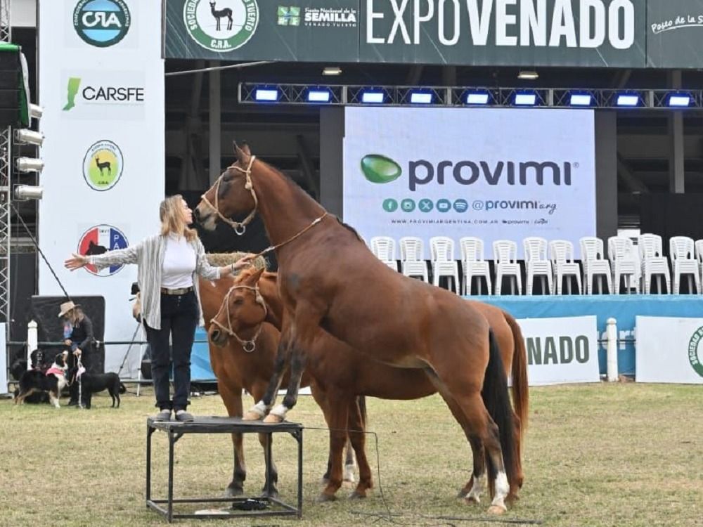 Foto: Gentileza.