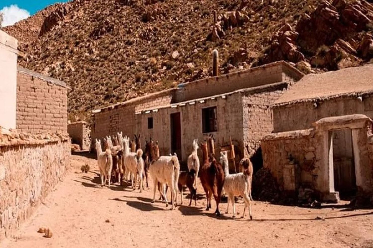 El pueblito detenido en el tiempo en el que 57 personas viven de la agricultura y la cría de llamas