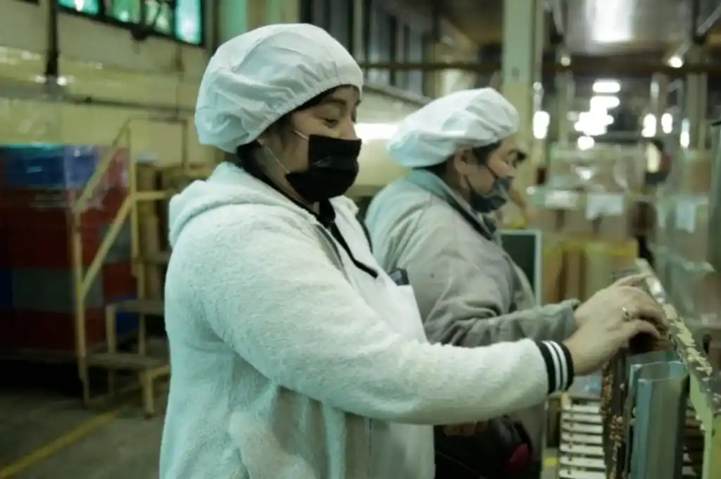 El Gobierno nacional quiere impulsar el empleo genuino a través de los planes sociales