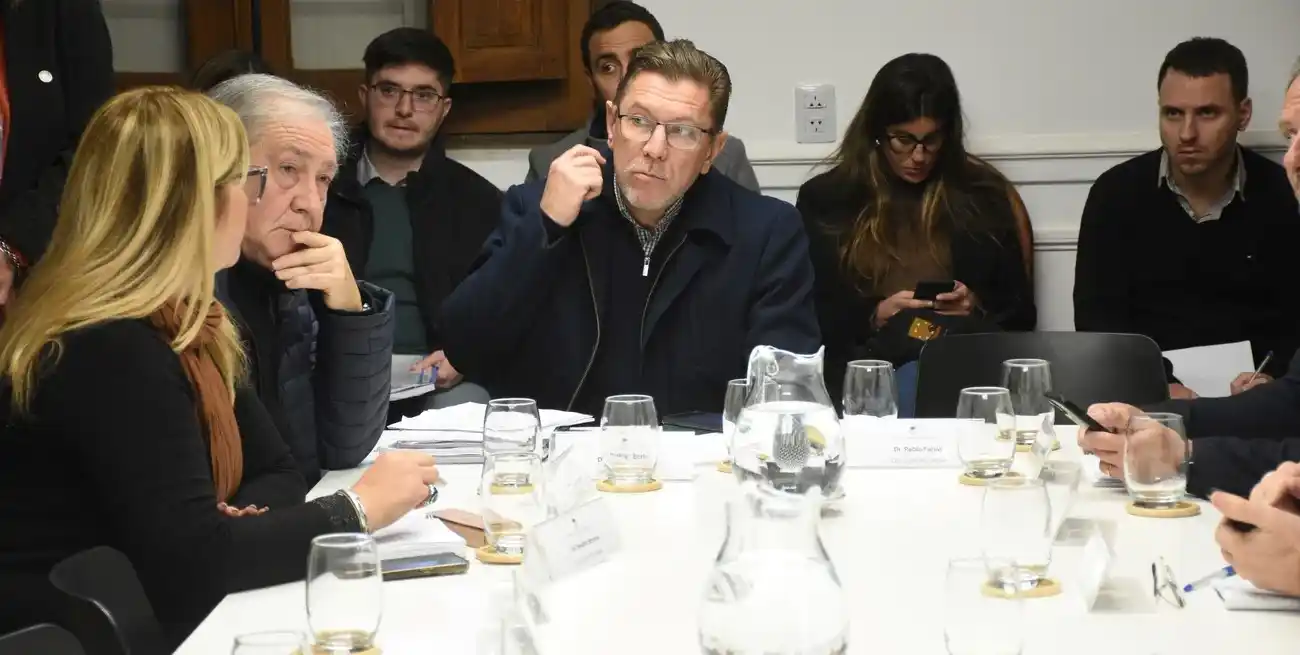 La sesión de la comisión bicameral fue coordinada por los presidentes de las comisiones de Asuntos Constitucionales y Legislación General de ambas Cámaras, el senador Rodrigo Borla y Pablo Farias. Crédito: Mauricio Garín