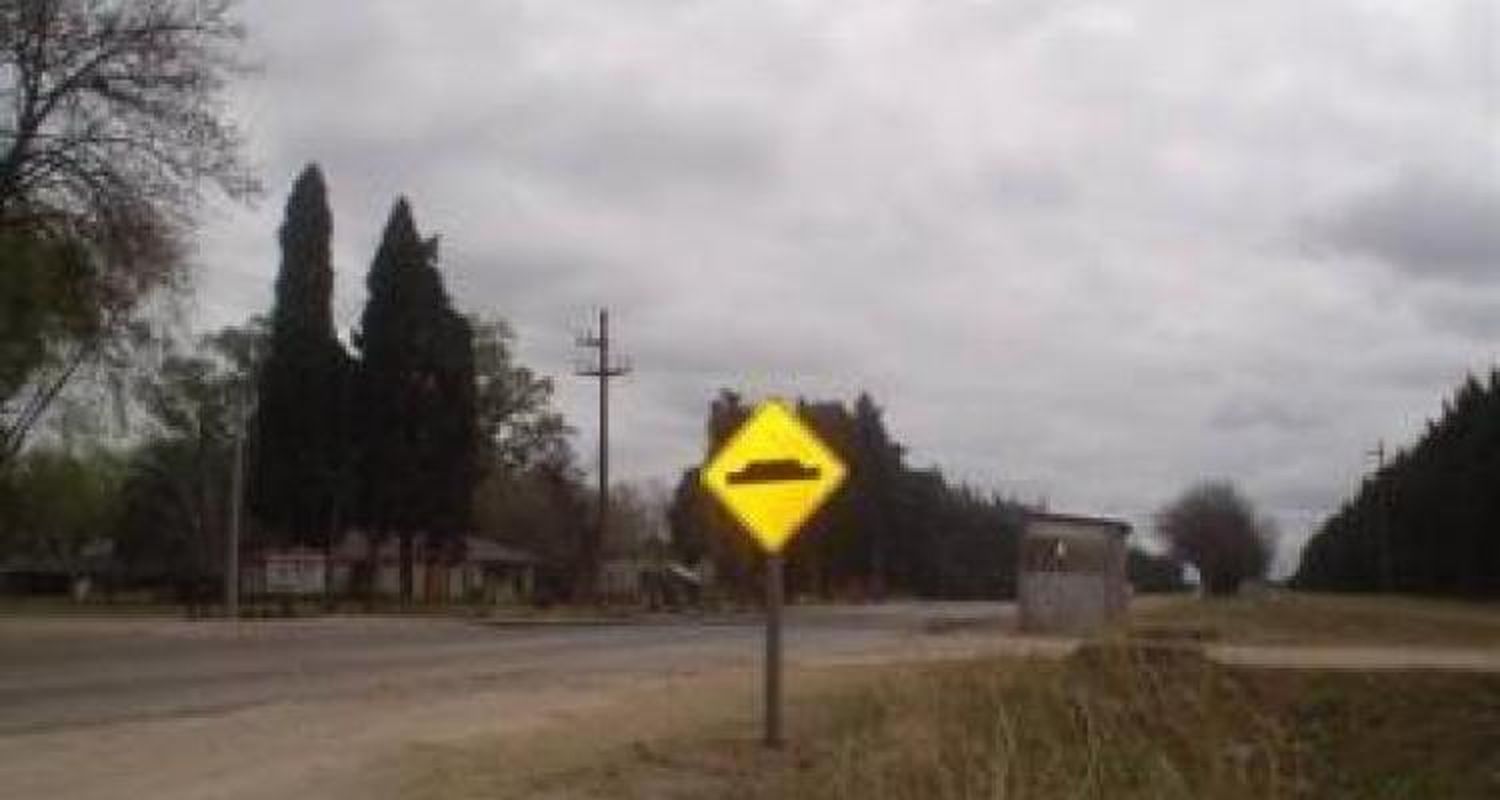 Por el lomo
