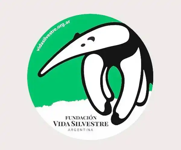 Nuevos récords para la ciencia ciudadana en Argentina durante la Competencia Natural de la Ciudad