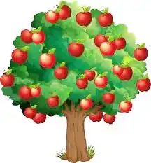 ¿Permitidos y prohibidos?