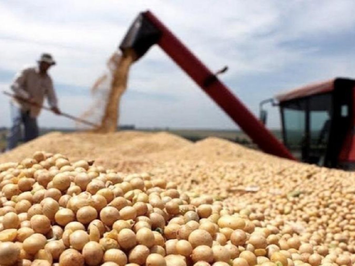 "No queremos que ninguno de los 19.500 productores quede afuera del programa"