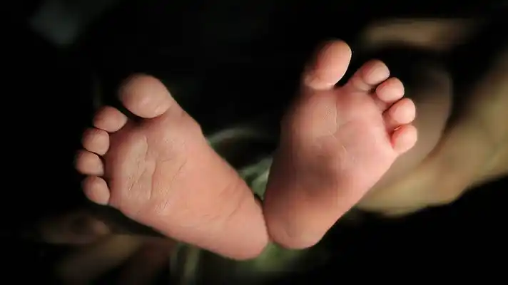 SE PROVOCÓ EL ABORTO: detenida una joven de 22 años que lanzó a su bebé por una letrina