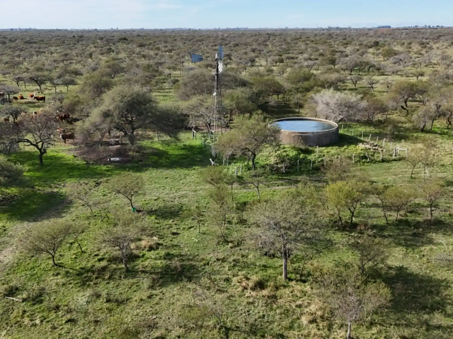 Entre Ríos refuerza la inversión en conservación del bosque nativo