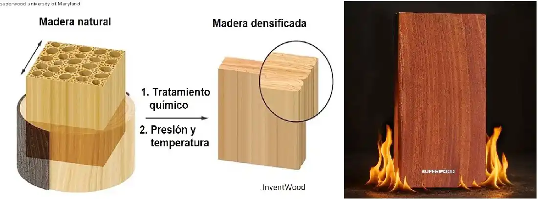 La “Supermadera”, Superwood, un nuevo desarrollo