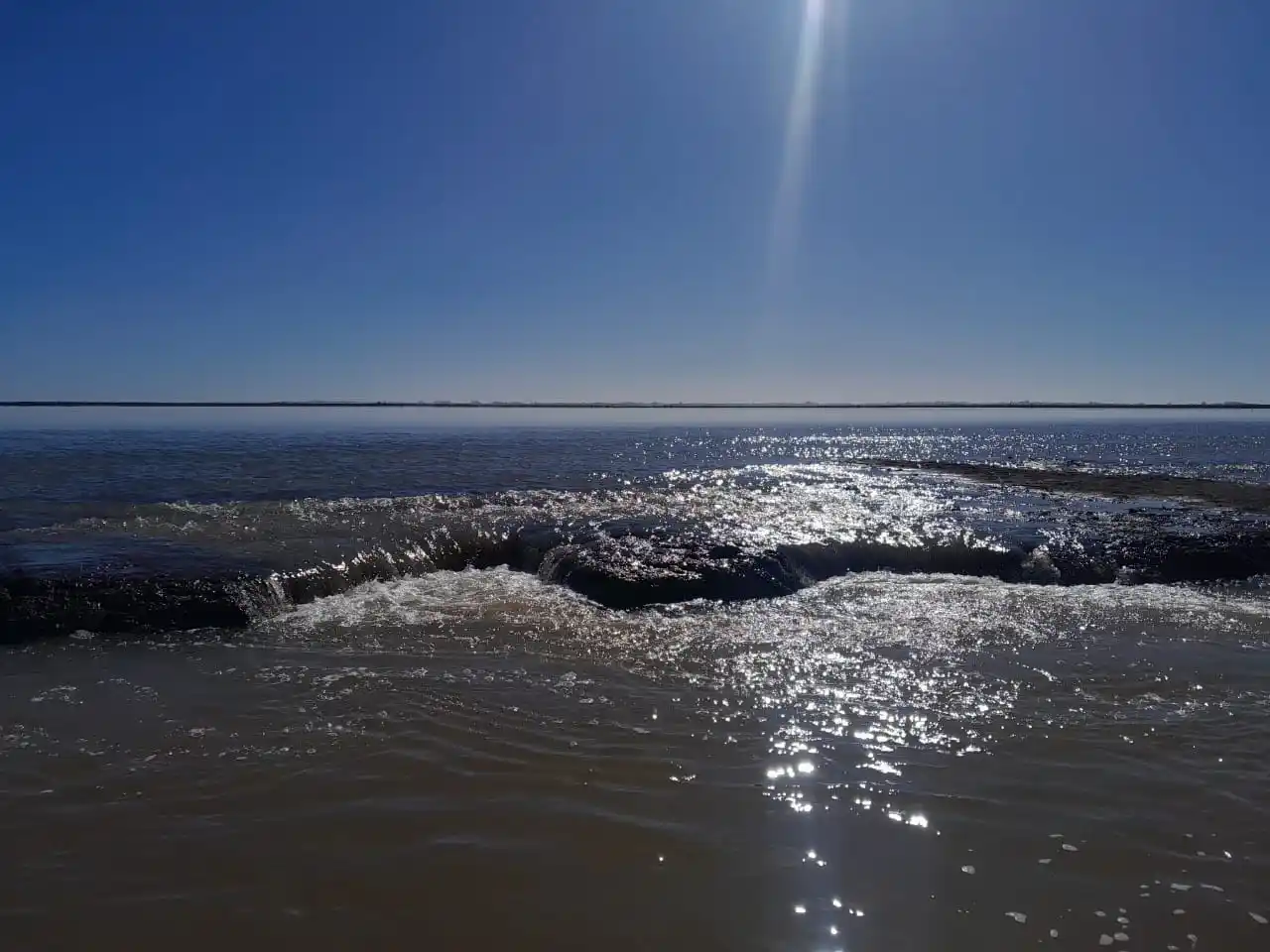 ¿Por qué las bajantes del Paraná son más problemáticas en Victoria?