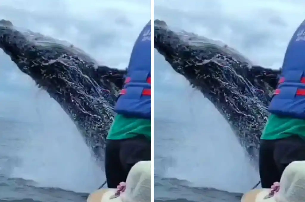 El video del espectacular salto ha dejado a todos maravillados.