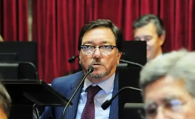 Pemo Guastavino será el  vicepresidente del bloque FpV