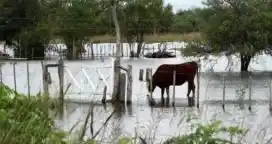 El delta entrerriano como parte de la Reunión Latinoamericana de Agrometeorología