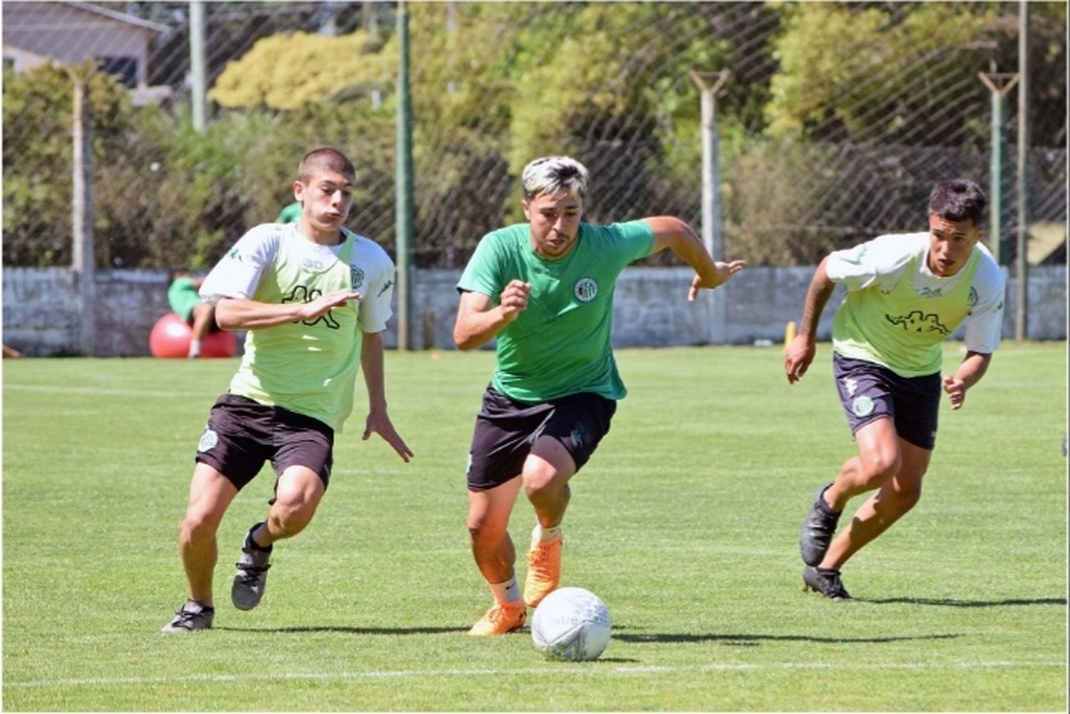 Kimberley con todo definido para el debut