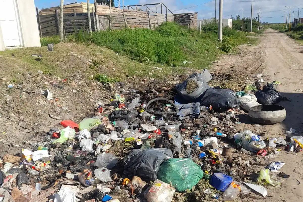 Microbasurales: el desafío ambiental que persiste a pesar de los operativos de limpieza