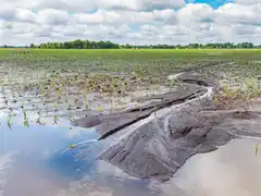 ARBA eximió del Inmobiliario Rural a campos de 19 distritos afectados por inundaciones