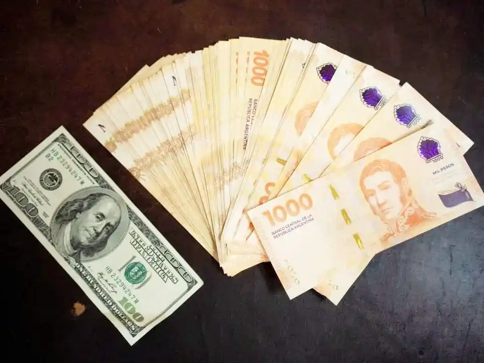 Un billete de $100, que en 2002 pagaba 28 kilos de asado, hoy no alcanzaría ni para 10 gramos