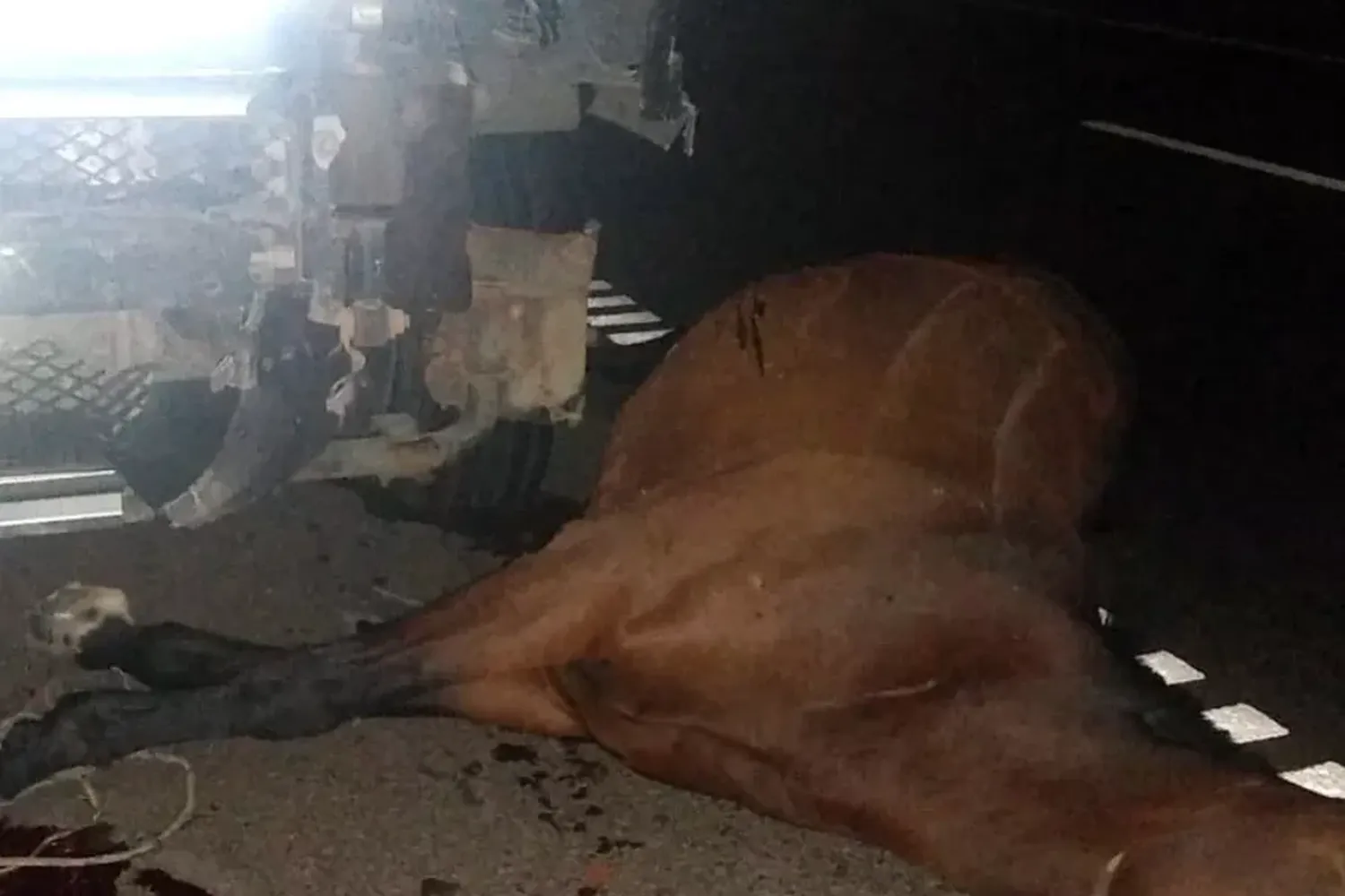 Un camionero chochó contra un joven a caballo en plena ciudad de Frontera